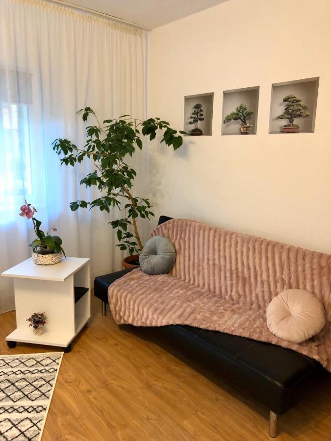 Mia'S House Apartment Pitesti Exterior photo